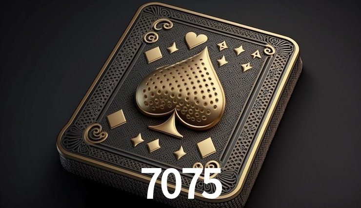 Casino VIP 7075